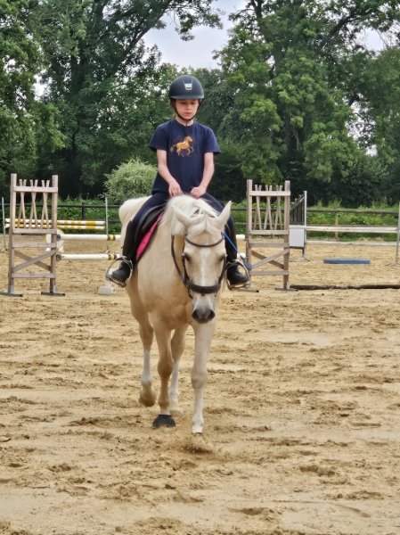 Haras de firfol - photo 3