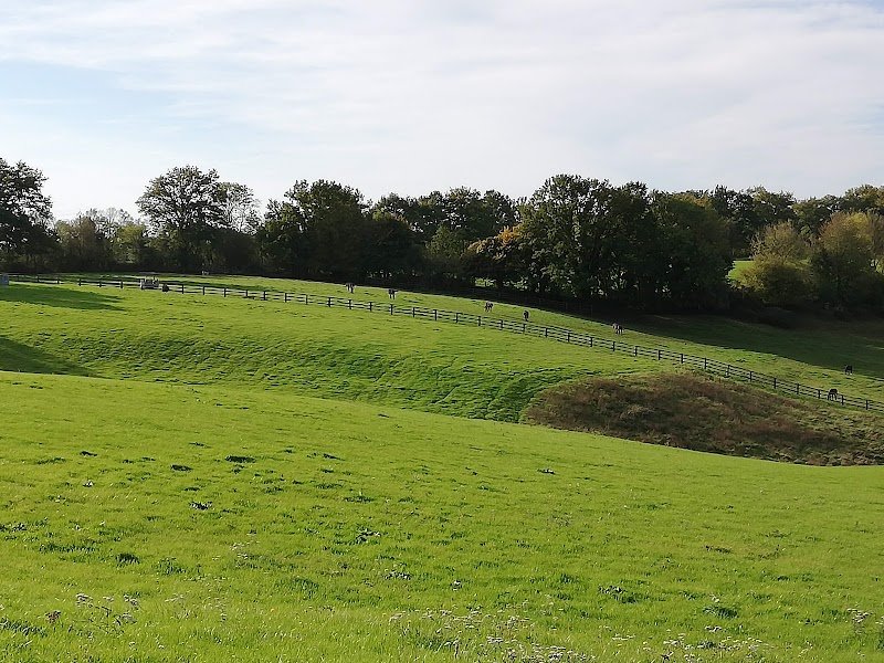 Haras de la Braudière, écurie de concours près de Lisieux Calvados - photo 1