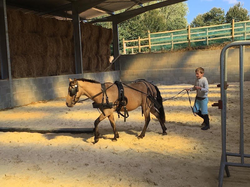 Haras du Moulin Neuf - photo 2