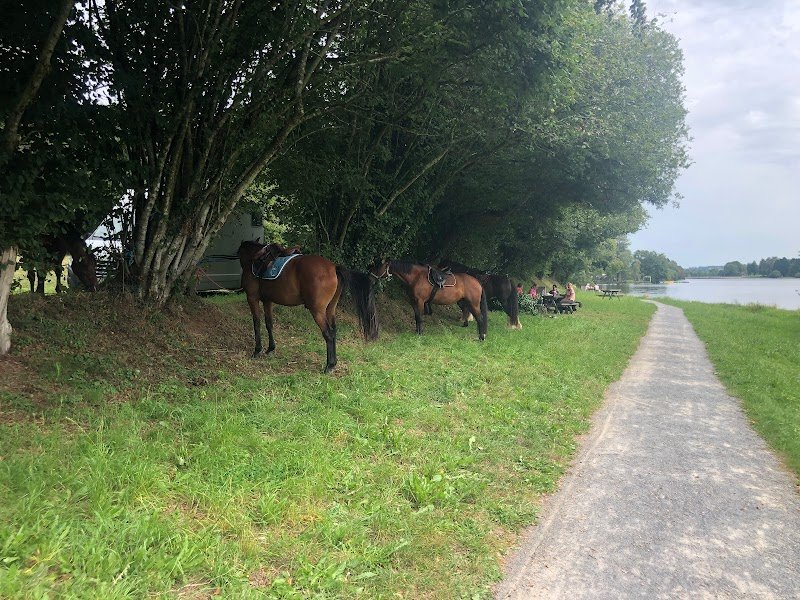 Centre Equestre de Vire - photo 3