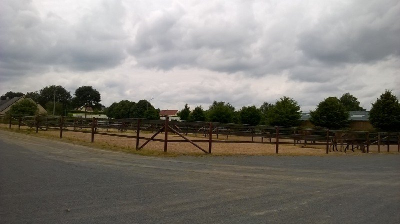 Haras de Vire - photo 2