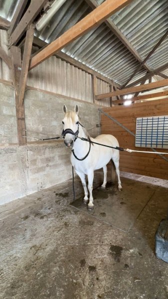 Écurie Moulagny - photo 2