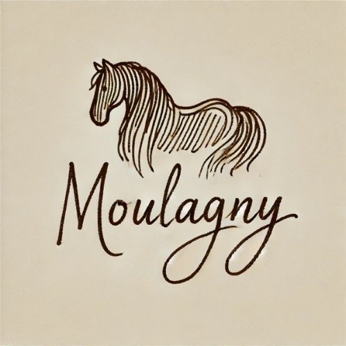 Écurie Moulagny - photo 3