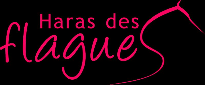Haras des Flagues - photo 1