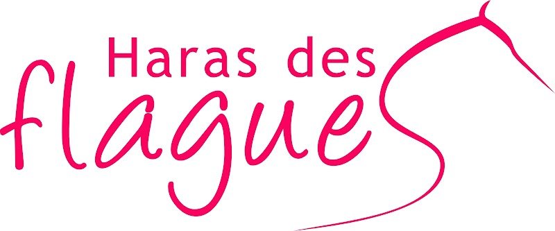 Haras des Flagues - photo 2