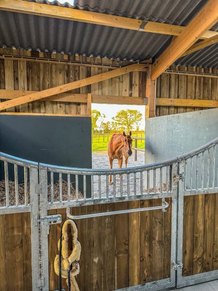 Ecuries du Merisier - photo 1