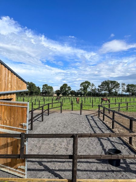 Ecuries du Merisier - photo 3