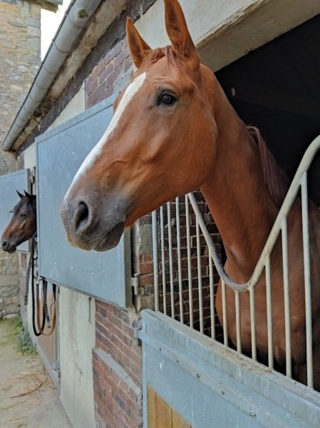 Ecuries Jolly - photo 1