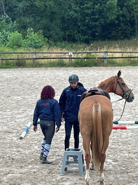 Haras des Frenchwords