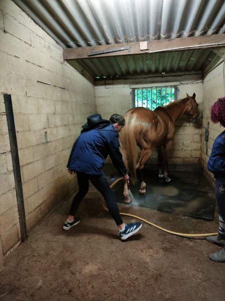 Haras des Frenchwords - photo 3