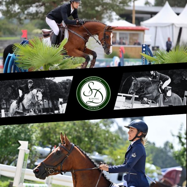 Écurie SD Riding - photo 1