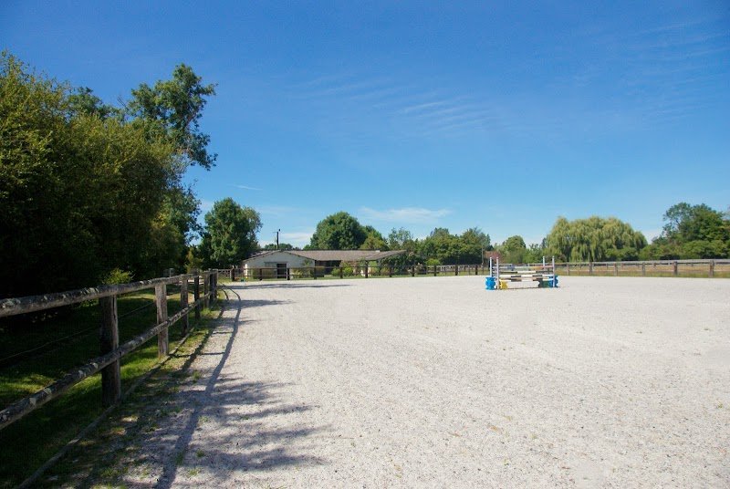 Haras du Levant - Pension chevaux - photo 3