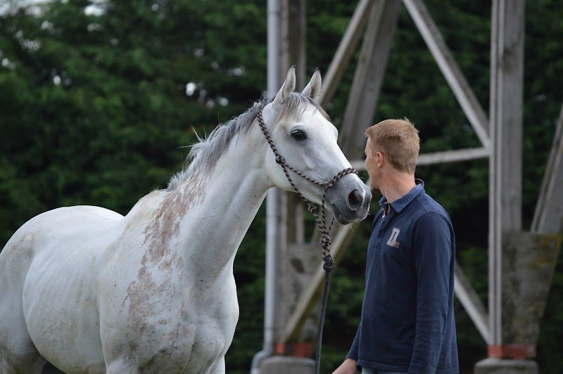 Ecurie de Timoline, "école" pour Pur-sang de course - photo 1