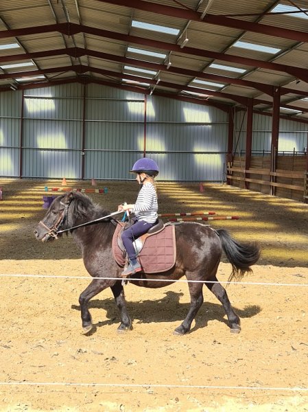 Ecurie D Ulys - photo 1