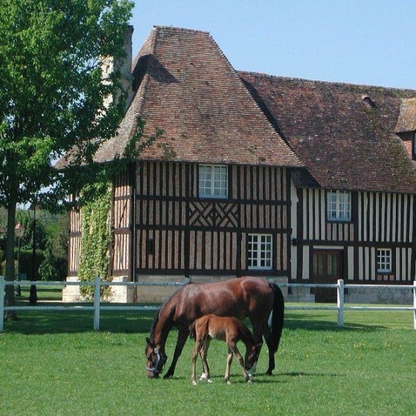 Haras de la Barbotière - photo 2
