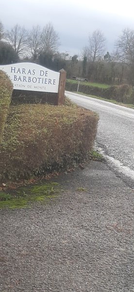 Haras de la Barbotière - photo 3