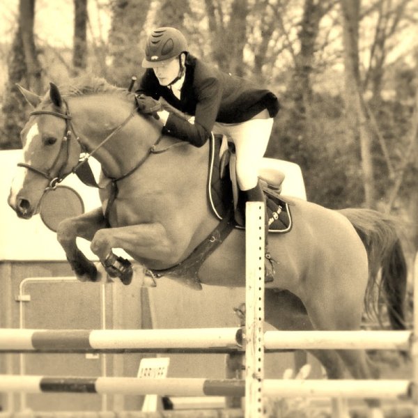 Centre Equestre de Ouistreham - photo 3