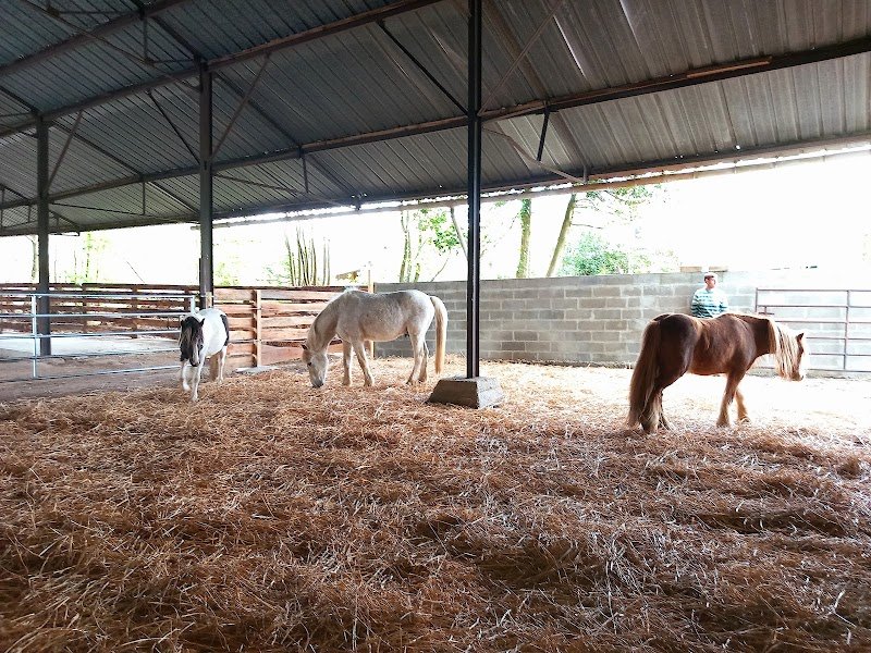 Espace Équestre Équi'Soins - photo 3