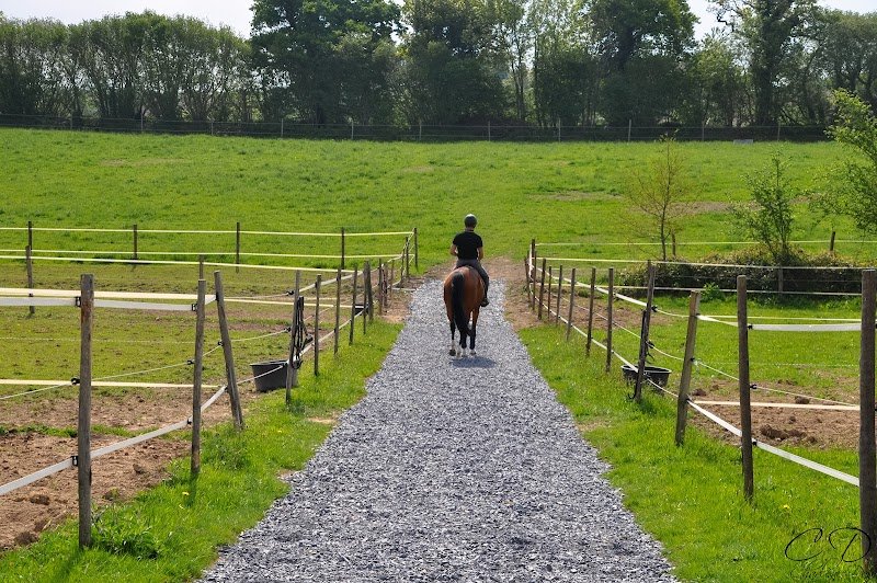Les écuries du Chableu - photo 3