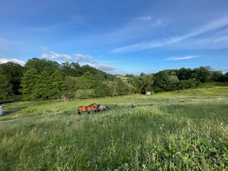 Haras de Cresme - photo 2