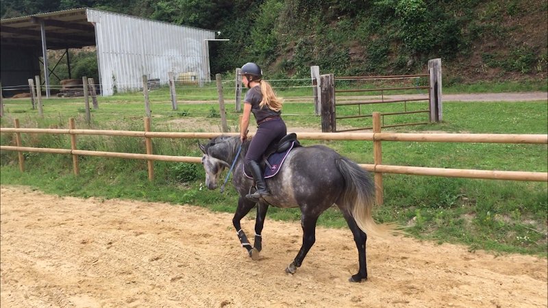 Haras de Cresme - photo 3