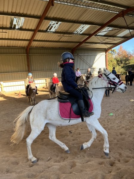 Les Poneys de Kathy - photo 2