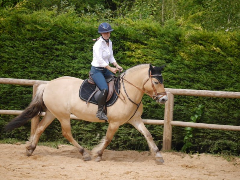 Les Poneys de Kathy - photo 3