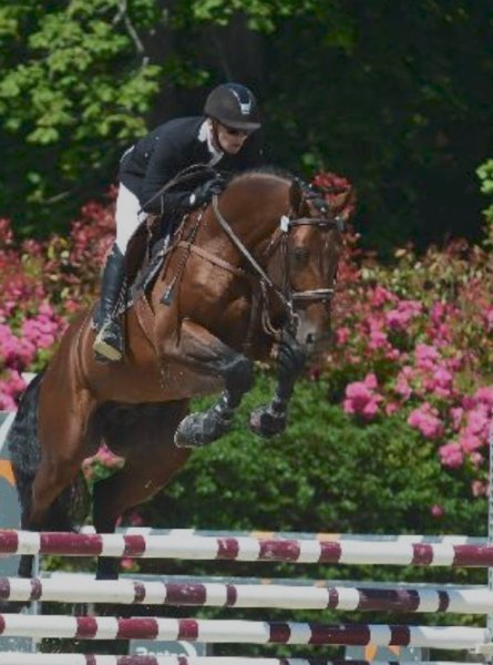 Elevage & Ecurie des Parts