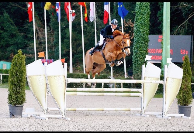 Elevage & Ecurie des Parts - photo 2