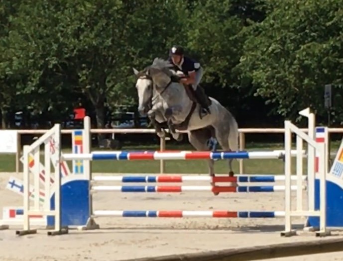 Elevage & Ecurie des Parts - photo 3