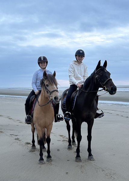 Haras des Monts Honfleur