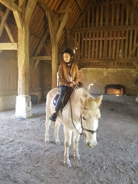 Haras des Monts Honfleur - photo 3