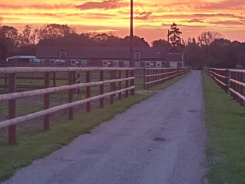 Haras de la Côte Fleurie - photo 2