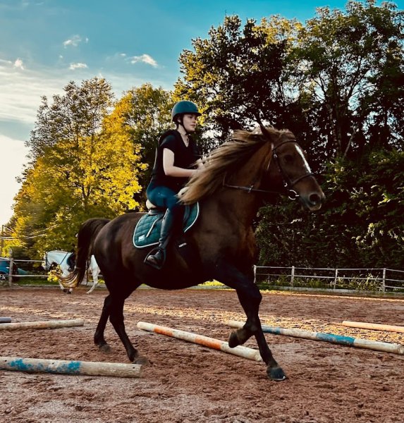 Ferme Equestre de la Fresnelle - photo 2