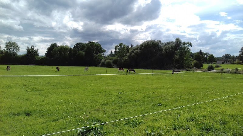 Ecurie Nilgirick Equitation - photo 2