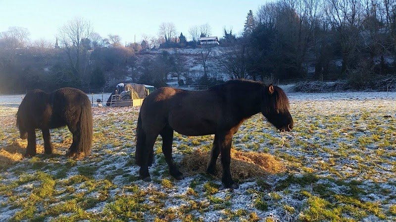 Haras de la Rillegatte - photo 2