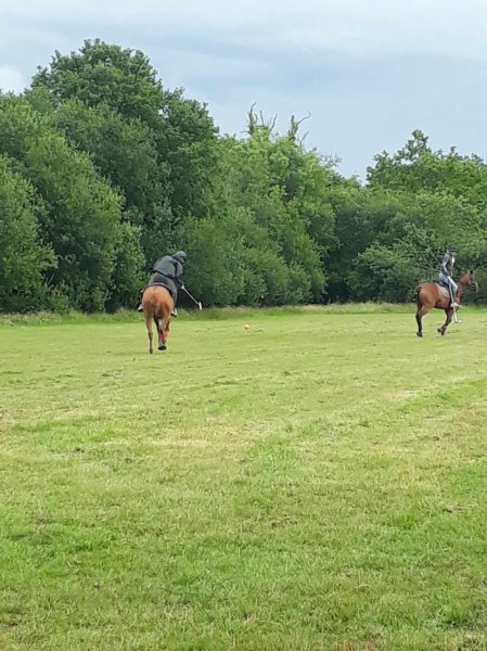 Haras du Cercle - photo 2