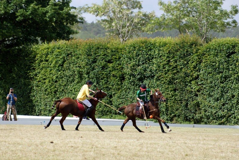 Haras du Cercle - photo 3