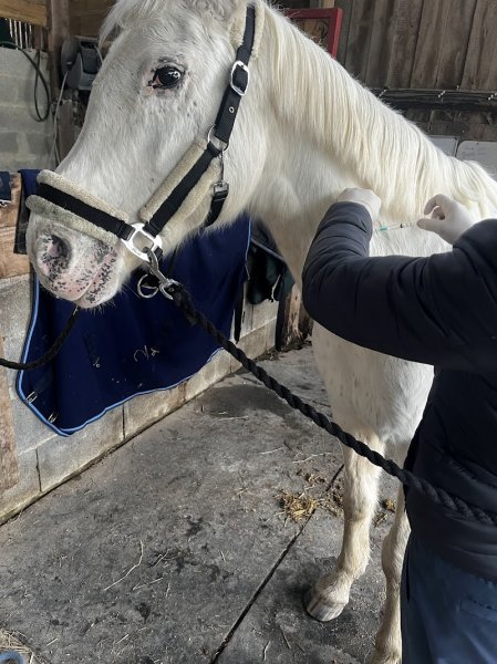 Centre Equestre de la Morelle - photo 3