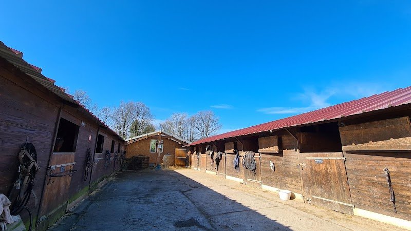 Ecurie Qui Trotte Vie