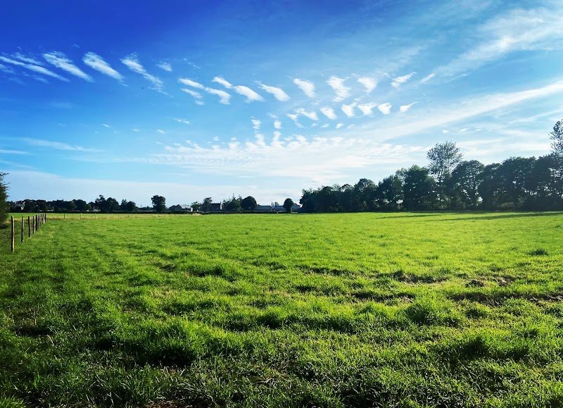 SARL Écuries de la Bretonnière - photo 2