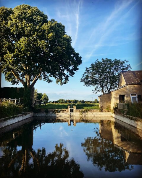 SARL Écuries de la Bretonnière - photo 3