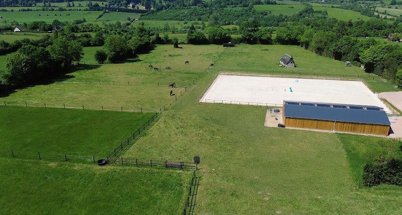 Haras Belledame - photo 1