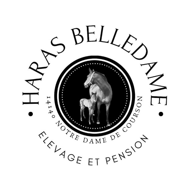 Haras Belledame - photo 2