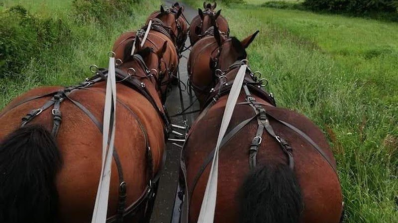 les écuries de la suisse normande