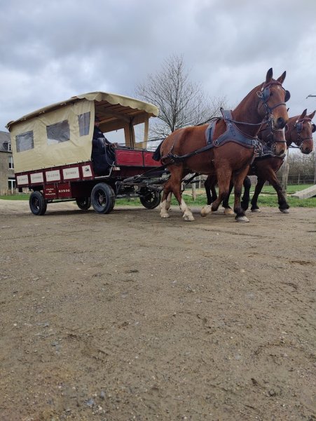les écuries de la suisse normande - photo 3