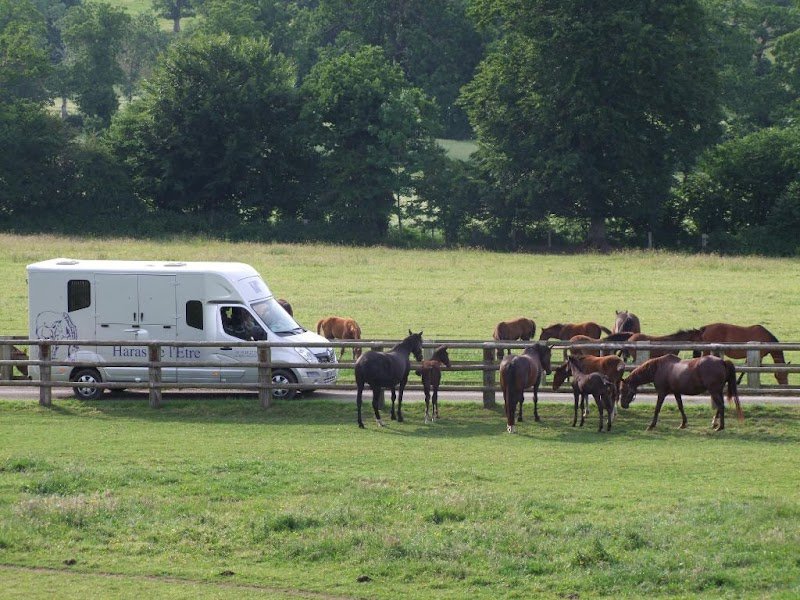 Haras de l'Etre - photo 3