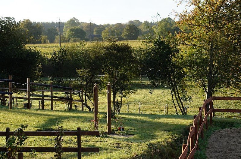 ECURIE EL DUENDE - photo 1