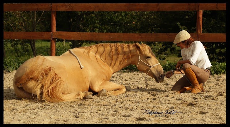 ECURIE EL DUENDE - photo 3