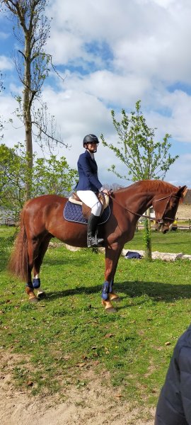 Parc équestre de Bernières - photo 3